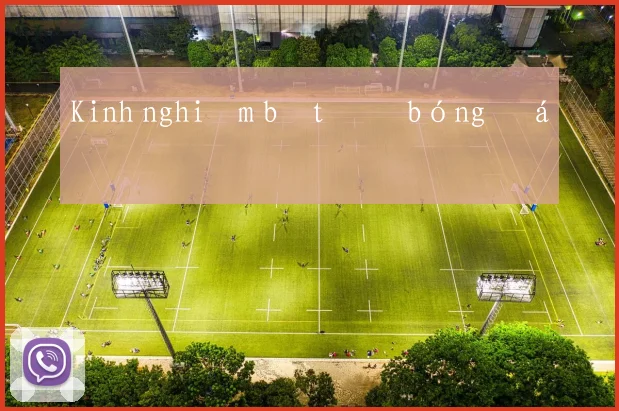 Kinh nghiệm bắt độ bóng đá