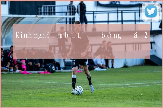 Kinh nghiệm bắt độ bóng đá